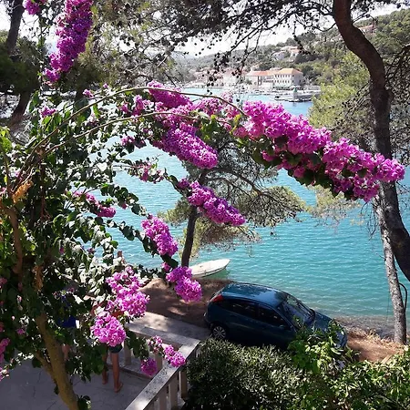 M * Jelsa (Hvar)