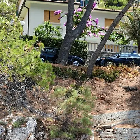 M * Jelsa (Hvar)