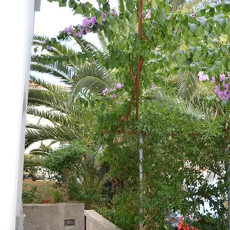 M Casa de hóspedes